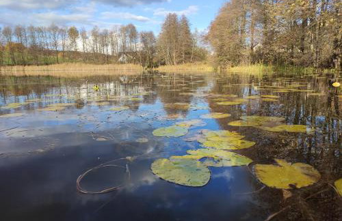 Domek Na Wzgórzu - całoroczny - Foto 18