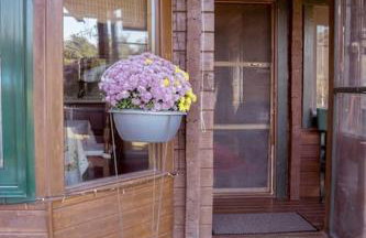 Chalet Επισκοπικό Ιωάννινα Ξύλινο σπίτι σε κτήμα - Foto 45