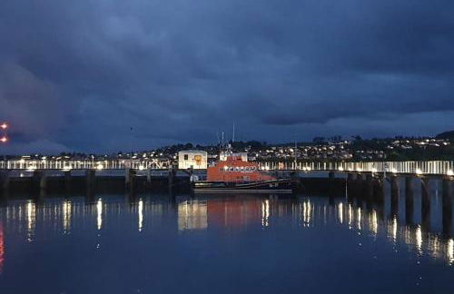 The Fuzzy Duck - Photo 23