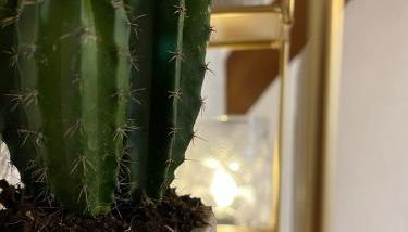 La maison du 122 - Photo 5