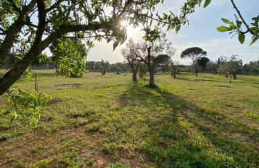 Uliveto Sant' Isidoro - Foto 50