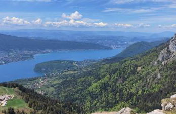 C le birdie - Foto 42