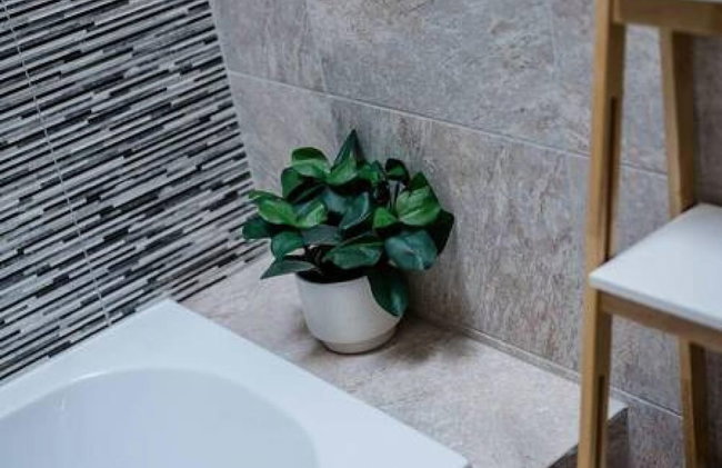 Host & Stay - Bands Warehouse VI - Foto 31