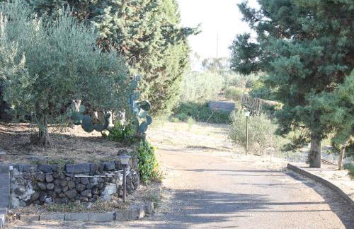 Casa Vacanza Etna - Photo 41