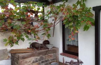 Pension "Am Park" - Hofappartements - Foto 11