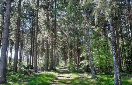 Apartament DeLux Marina - Foto 37