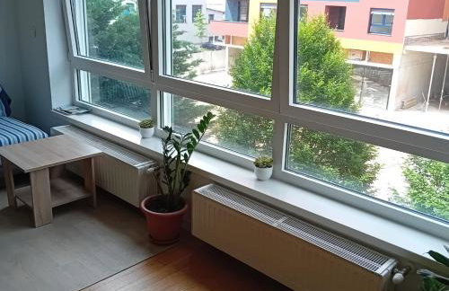 Apartment Cankareva - Photo 11