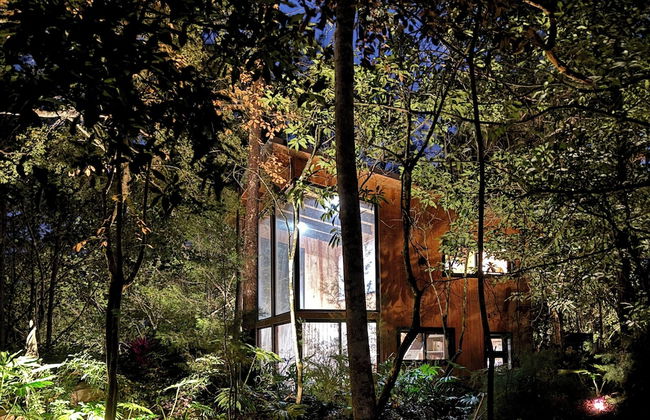 The Grand Forest Jarabacoa - Photo 63