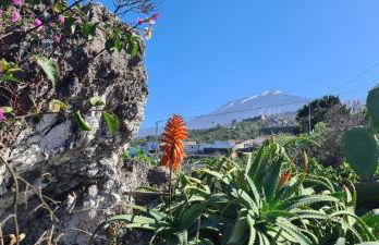 Finca Horizonte Azul - Foto 72