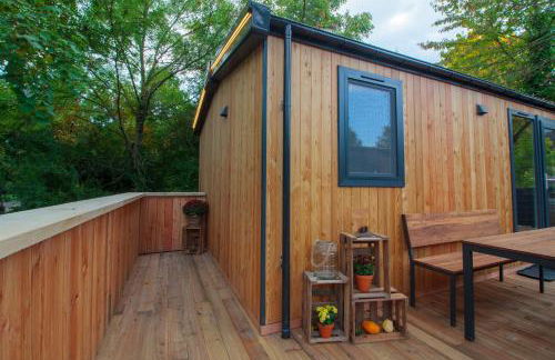 Racoon - Außergewöhnliches Tinyhauserlebnis beim Reptilienzoo Reptilium - Foto 40