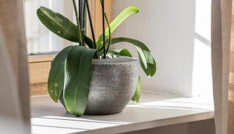 Rennweg 114 - Foto 3