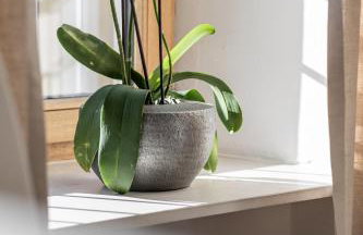 Rennweg 114 - Photo 4