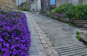Le Bocage gîte 90m2 chaleureux à 4 min du Puy du Fou - Foto 41
