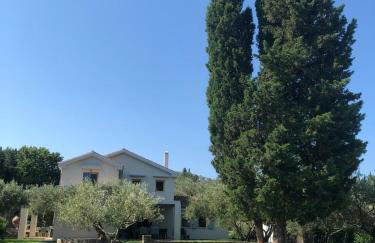 Villa Lithia - Foto 19