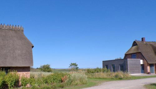 Reetdorf Geltinger Birk Malerhaus Wollgras - Foto 3