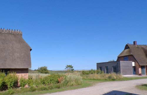 Reetdorf Geltinger Birk Malerhaus Wollgras - Foto 2