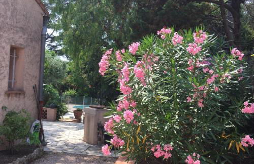 Les cigales - Foto 22