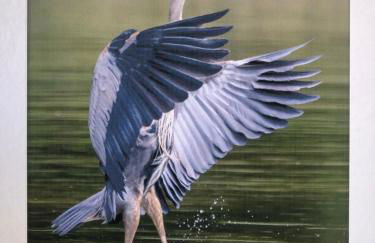 Appartamento Zia Ninìn - la gioia di un tempo! - Foto 12