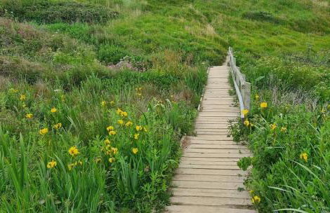 Detached Bungalow in North Cornwall - Foto 42