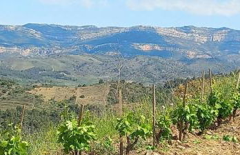 La Caseta del Piro - Foto 6