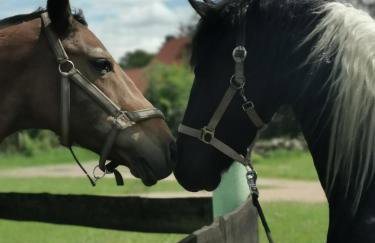 Ferienwohnung Czampiel - Photo 16