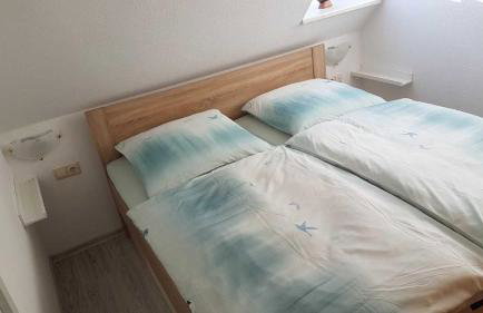 Ferienwohnungen am Malchiner See - Foto 33