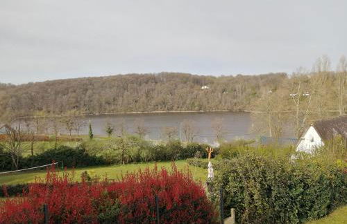 Maison idéale au bord du lac avec jardin clos et parking privé, animaux admis - FR-1-591-711 - Foto 22
