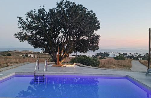 Santa Marina Syros - Foto 70