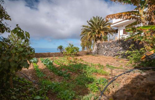 The Lemon Factory - Foto 34