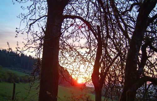 Kaisers Ferienhof - Foto 30