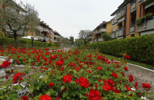 DISCOVERY FLAT with pool & bikes - Foto 36