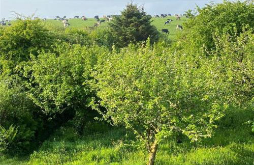 Naut Retreat - Idyllic hideaway with hot tub, gym & gamesroom ideally located in Zennor near St Ives - Photo 61