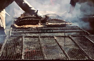 ROS RURAL Cal Ros - Foto 15