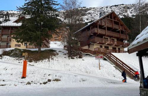 Oz en oisan APPART 6-8 PERS CHALET DES NEIGES Piscine -Sauna - Foto 46