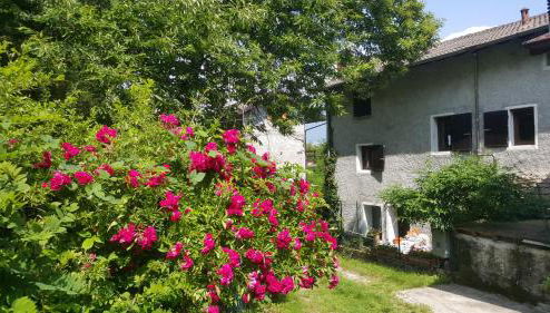 Casa Ronit - Foto 1, Garden