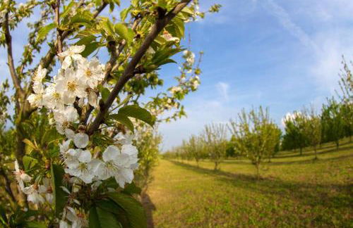 Exquisite Retreat in Segni - Photo 49