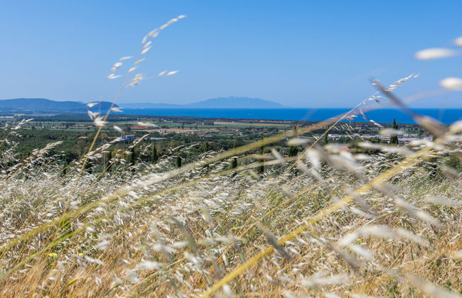 Il Corbezzolo - Foto 41