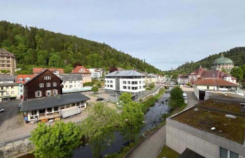 Studio Nr. 312 im Haus Alb - Foto 16