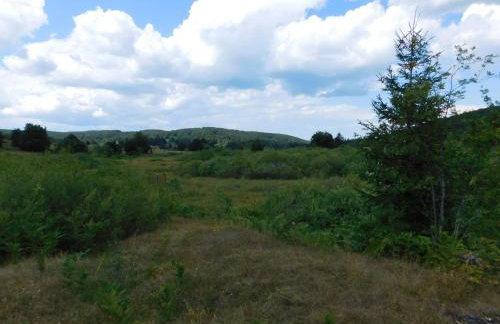 Vacation House Home, Plitvice Lakes National Park - Foto 40