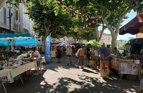 Domaine RABOLY - Beaumes de Venise - Foto 23