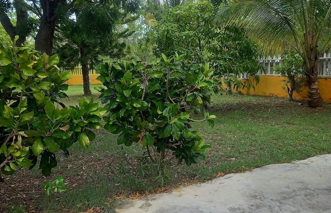 Deano's Cottages - Photo 65