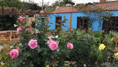 Casa Asuncion - Foto 1, Garden