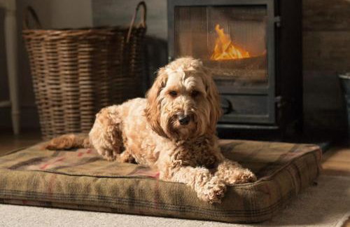 Acacia House - Foto 27