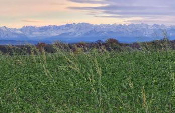 Apartment am Ammersee - Foto 19