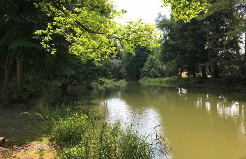 Ferienwohnung "Altes Schloss Wilhelmsfeld" - Foto 19