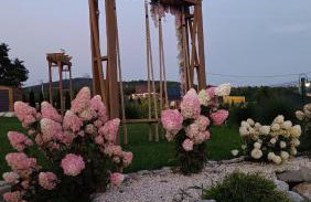 Domki Pod Łysicą- basen jacuzzi sauna - Foto 50