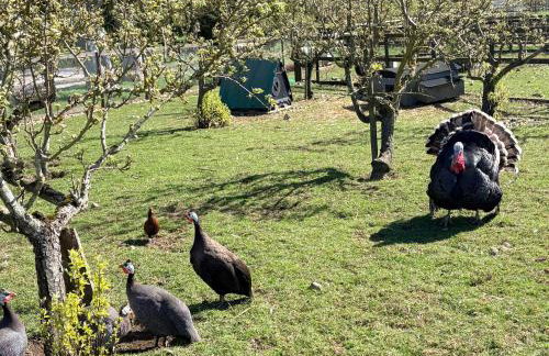 Peacock Barn - Photo 22