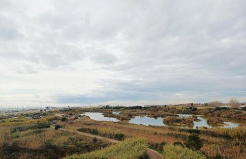 Porto di Roma Domus Aurea - Foto 27