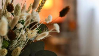 Le Clos André - Climatisation - Jardin - Chambord - Foto 2