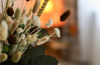 Le Clos André - Climatisation - Jardin - Chambord - Foto 16